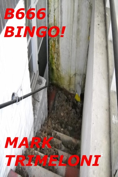 B666 Bingo! by Mark Trimeloni