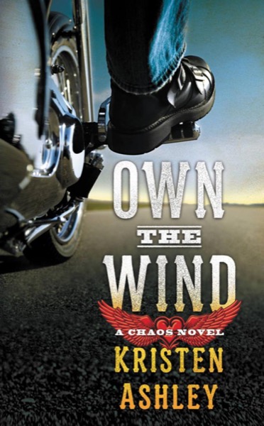 Own the Wind by Kristen Ashley