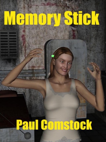 Memory Stick by Paul Comstock