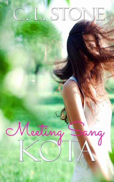 Meeting Sang: Kota by C. L. Stone