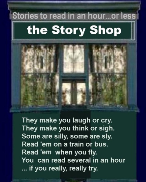 the Story Shop by Peter Ponzo