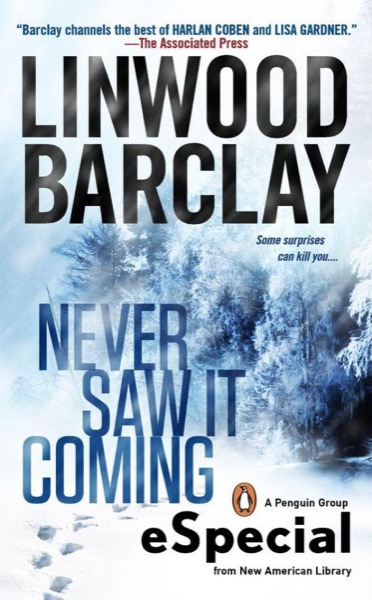 Never Saw It Coming by Linwood Barclay