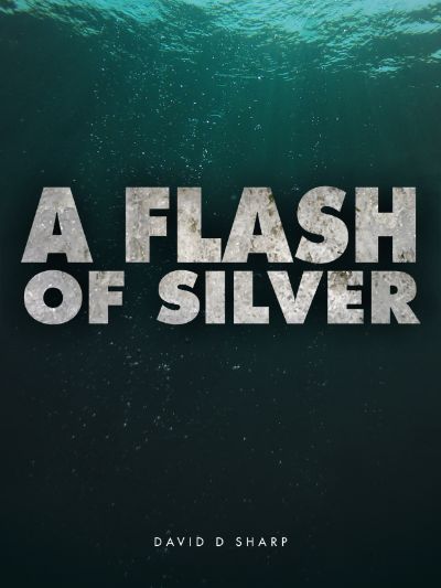 A Flash of Silver by David D Sharp