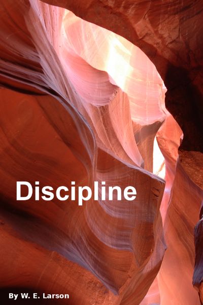 Discipline by W.E. Larson