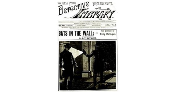 Bats in the Wall; or, The Mystery of Trinity Church-yard by E. J. Craine