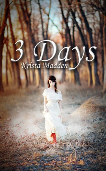 3 Days by Krista Madden