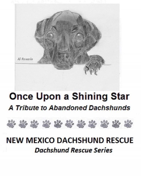 Once Upon a Shining Star by New Mexico Dachshund Rescue