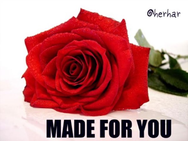 Made For You by Dora Okeyo