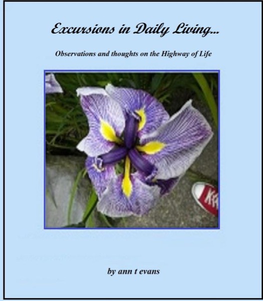 Excursions in Daily Living by Ann Evans