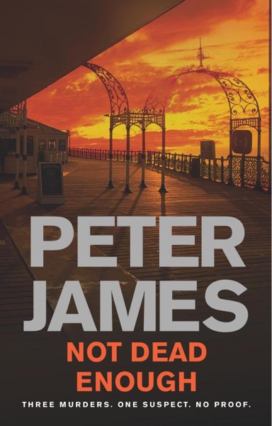 Not Dead Enough by Peter James