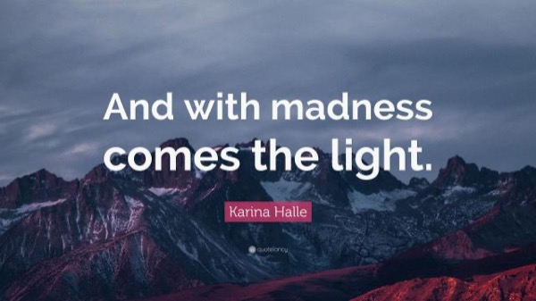 And With Madness Comes the Light by Karina Halle