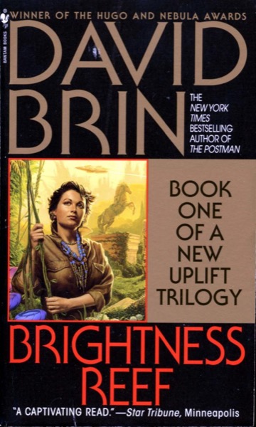 Brightness Reef by David Brin