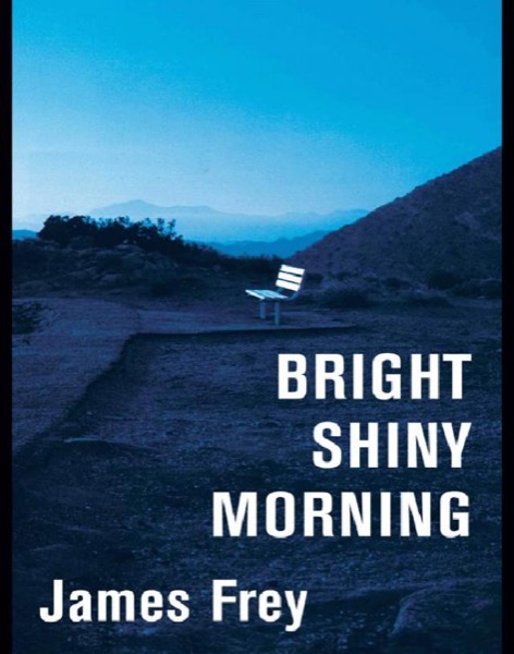 Bright Shiny Morning by James Frey