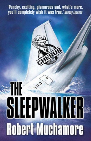 The Sleepwalker by Chris Bohjalian