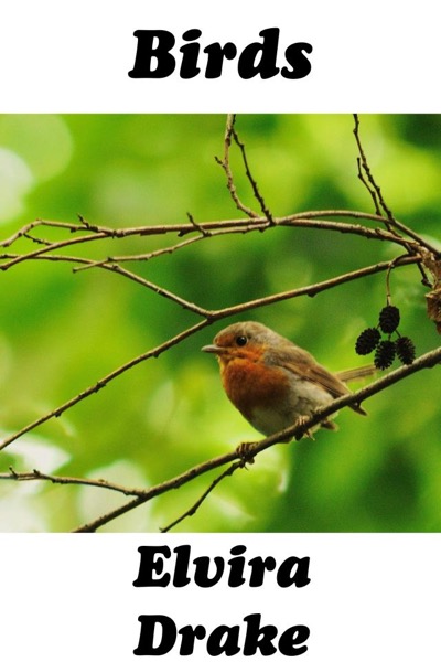 Birds by Elvira Drake