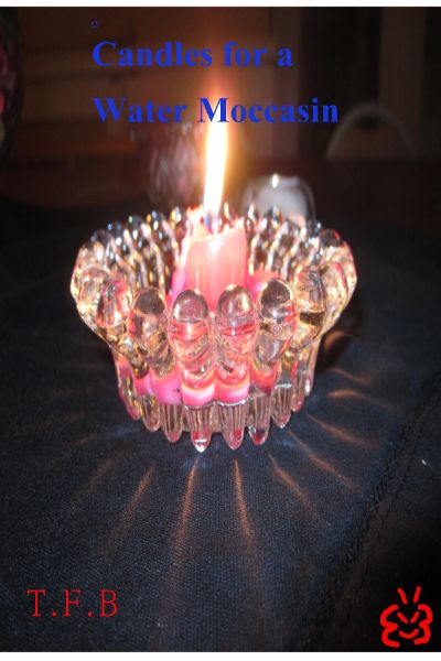 Candles for a Water Moccasin by T.W. Lycan