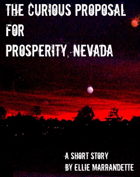 The Curious Proposal for Prosperity, Nevada by Ellie Marrandette