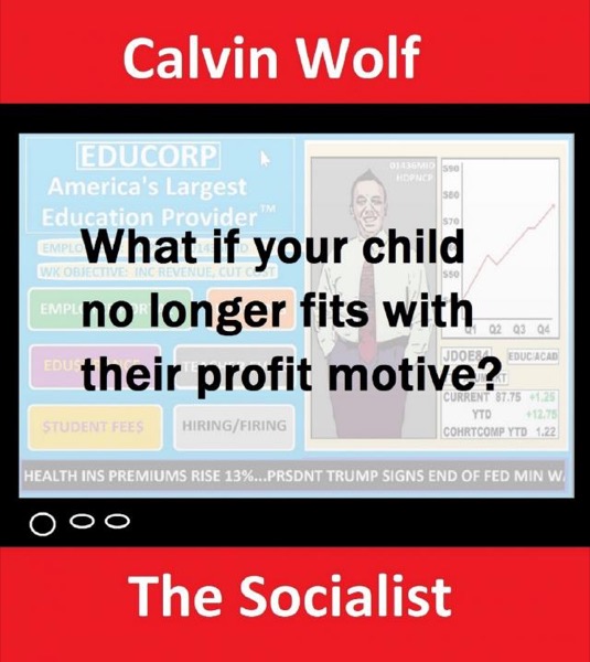 The Socialist by Calvin Wolf