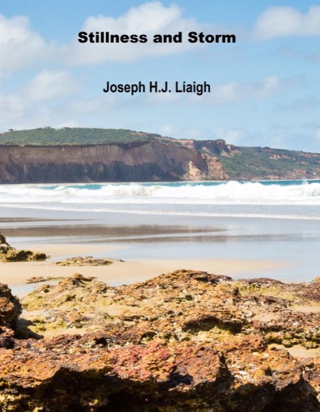 Stillness and Storm by Joseph H.J. Liaigh