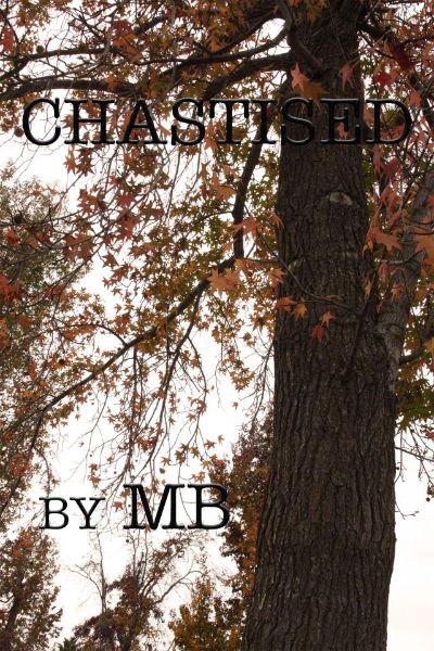 Chastised by Robert L. Shelby