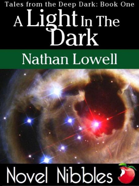 A Light In The Dark by Nathan Lowell