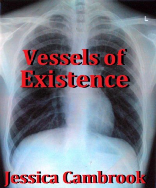 Vessels of Existence by Jessica Cambrook