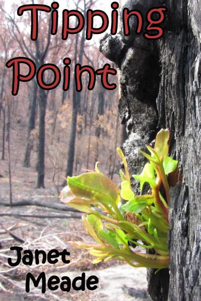 Tipping Point by Janet Meade