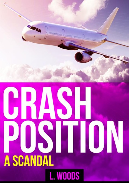 Crash Position by Liz Woods