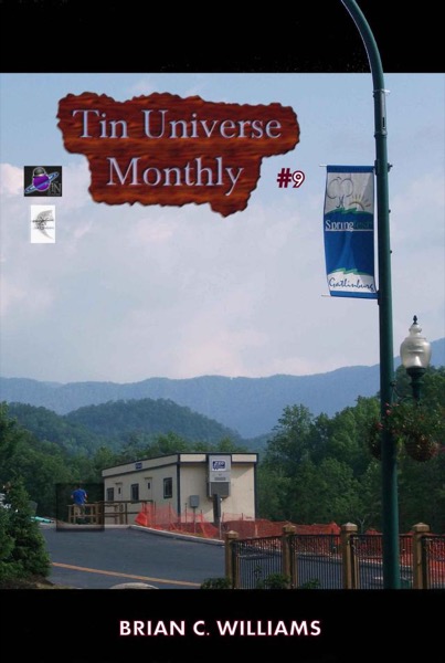 Tin Universe Monthly #9 by Brian C. Williams