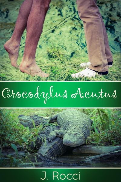 Crocodylus Acutus by J Rocci