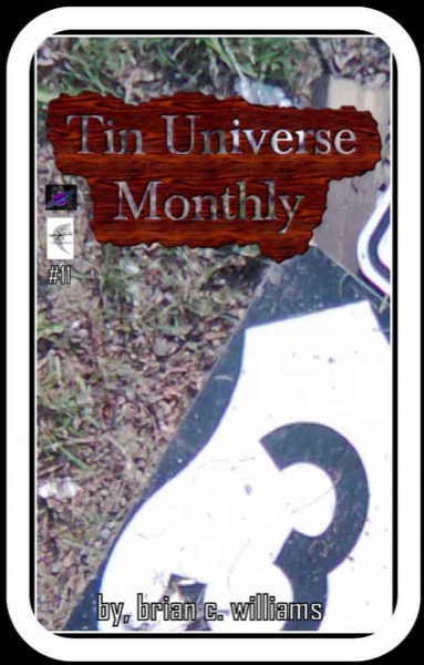 Tin Universe Monthly #11 by Brian C. Williams