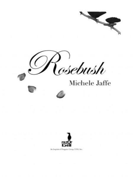 Rosebush by Michele Jaffe