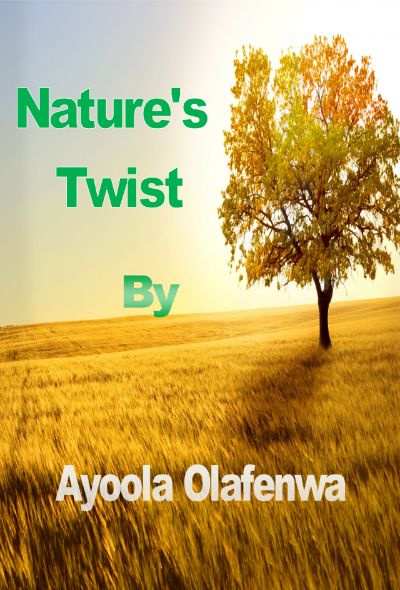 Nature's Twist by Ayoola Olafenwa