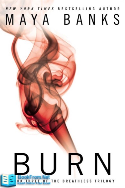 Burn by Maya Banks