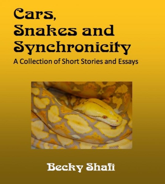 Cars, Snakes and Synchronicity by Becky Shafi