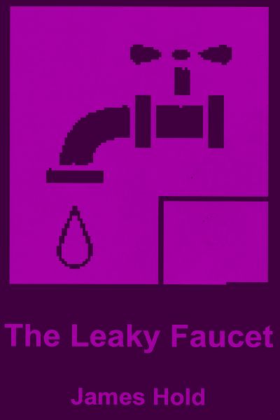 The Leaky Faucet by James Hold