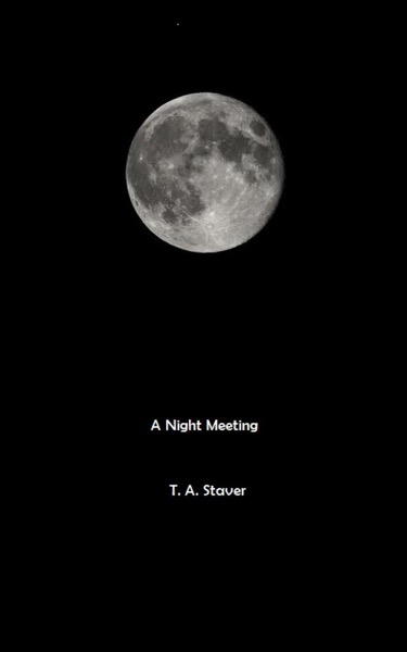 A Night Meeting by T. A. Staver