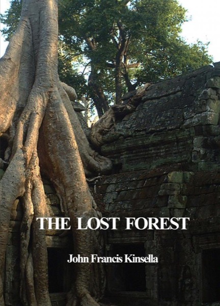 The Lost Forest by John Francis Kinsella