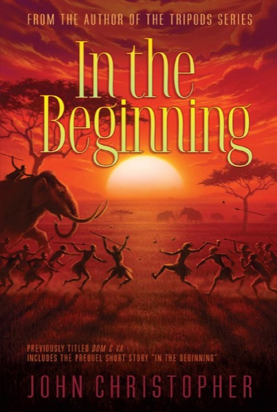 In the Beginning by Chaim Potok