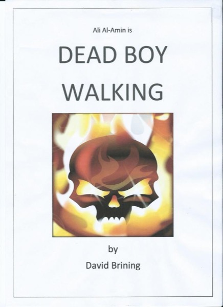 Dead Boy Walking by David Brining