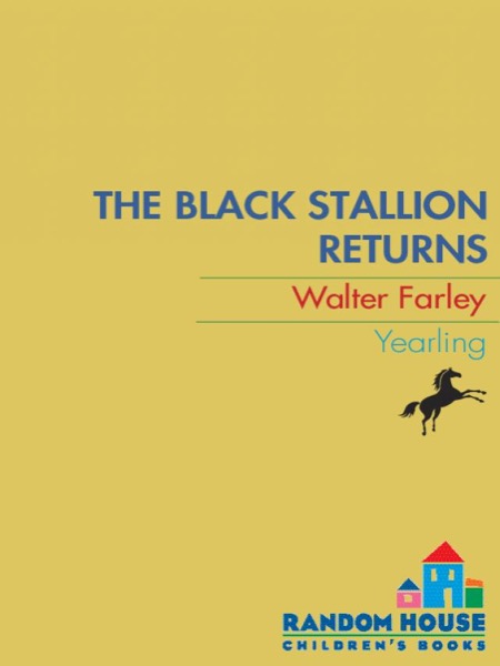 The Black Stallion Returns by Walter Farley