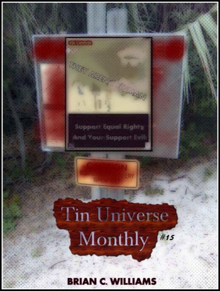 Tin Universe Monthly #15 by Brian C. Williams