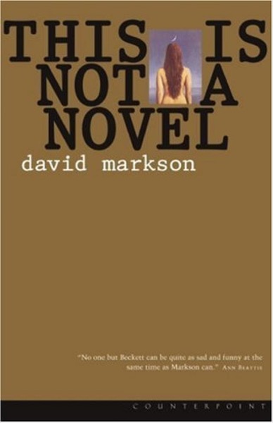 This is Not a Novel by David Markson