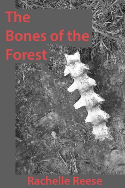 The Bones of the Forest by Rachelle Reese