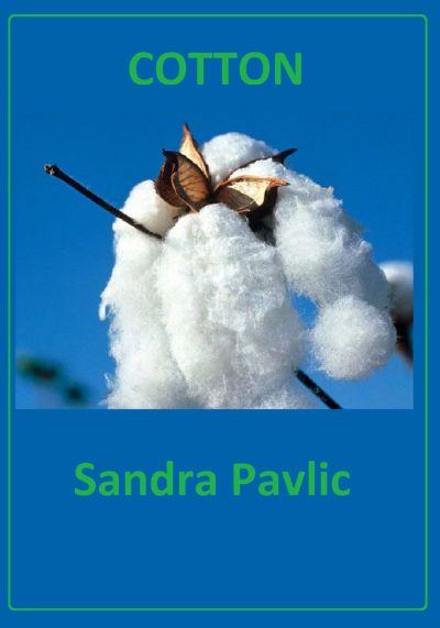 Cotton by Sandra Pavlic