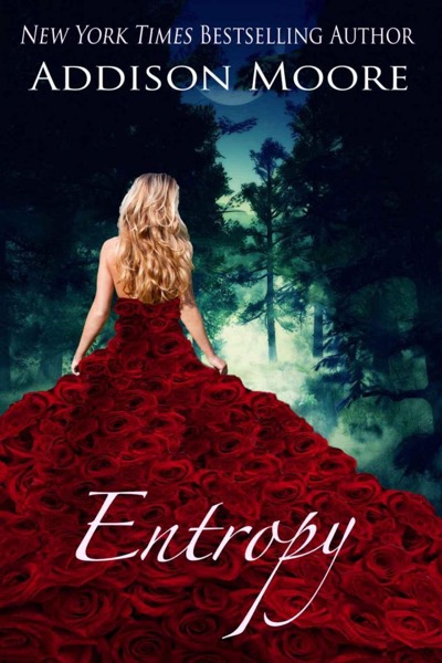 Entropy by Addison Moore