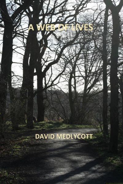 A Web of Lives by David Medlycott