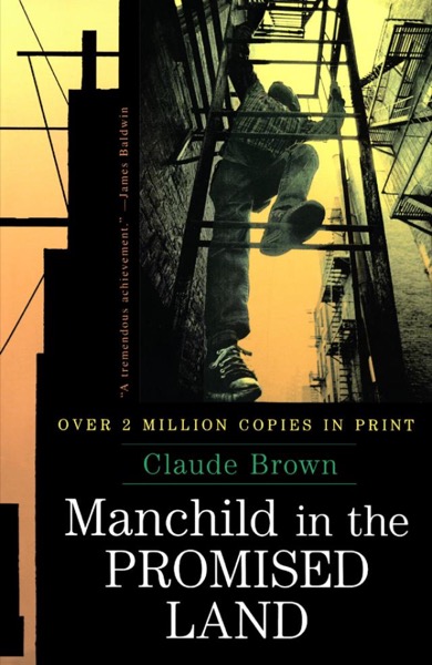 Manchild in the Promised Land by Claude Brown