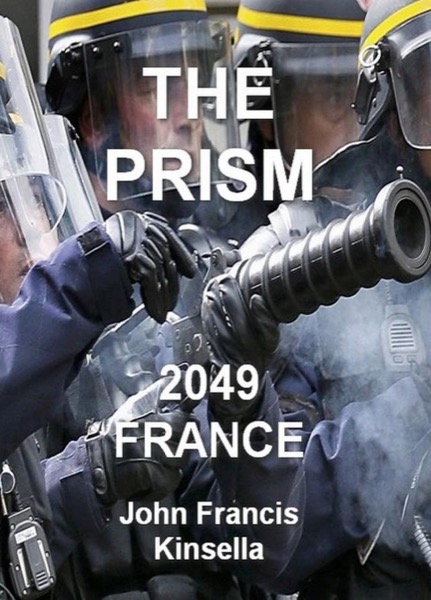 The Prism 2049 by John Francis Kinsella