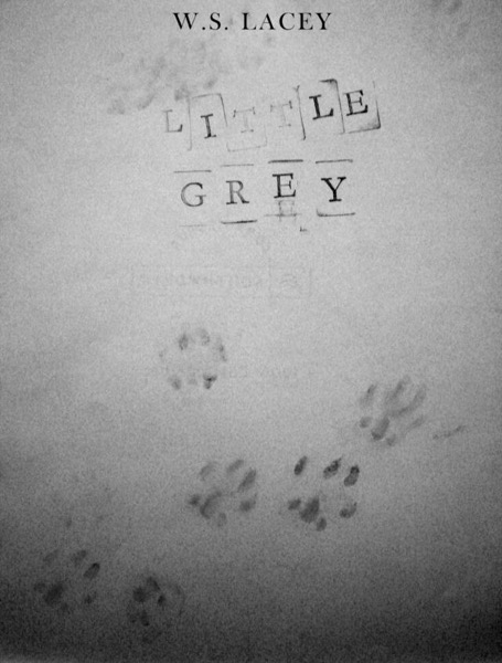 Little Grey by W.S. Lacey